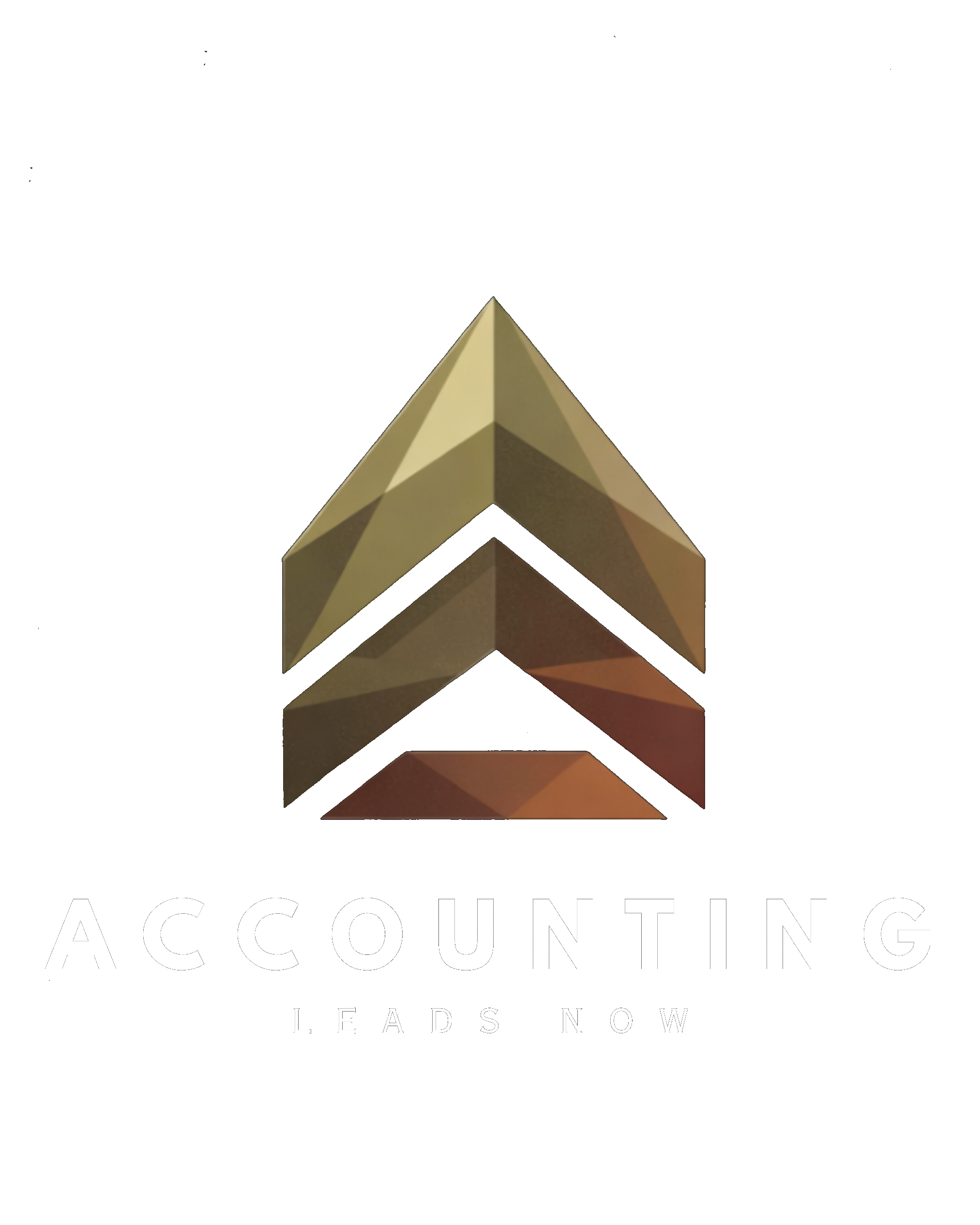 Accounting Leads Now logo