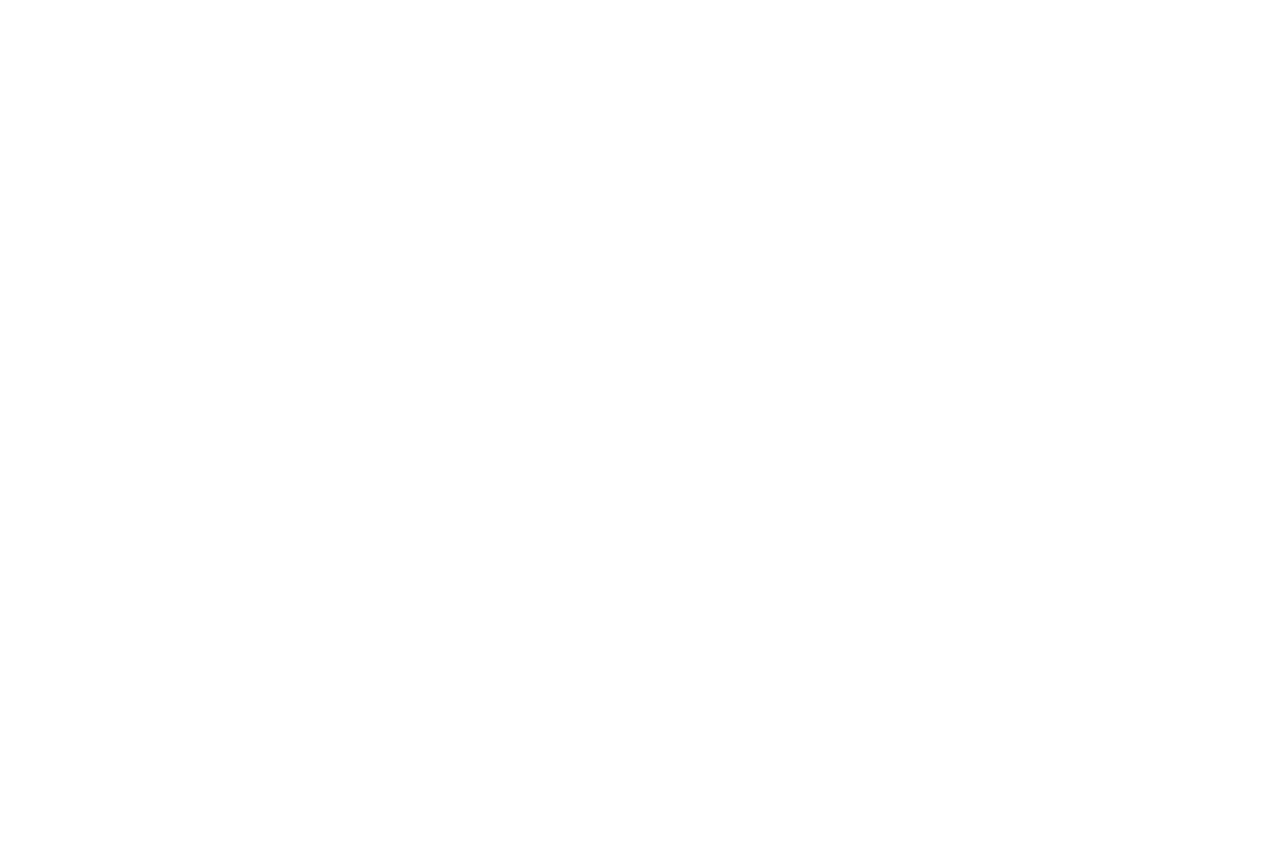 Rainmaker Internet Marketing logo