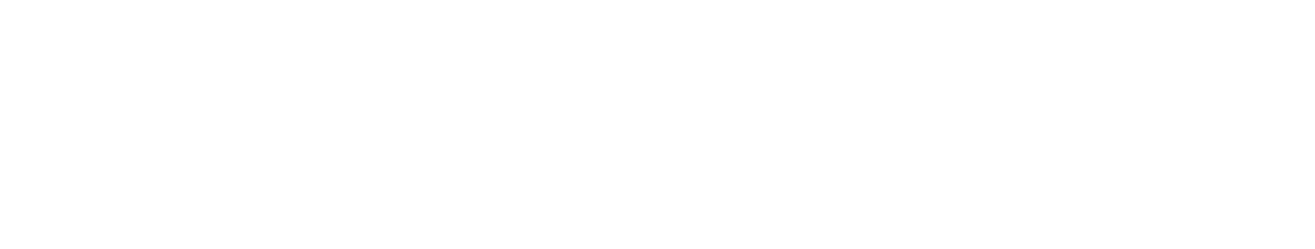 Salt Marketing, Inc. logo