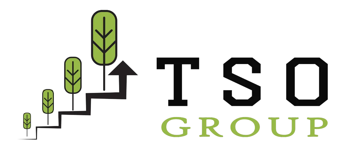 TSO Academy logo