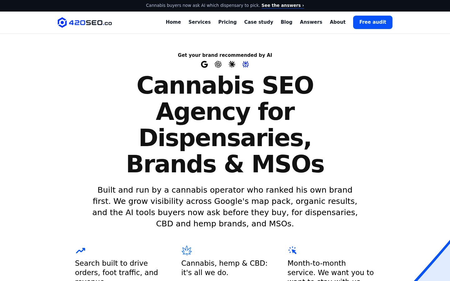 420 SEO website preview