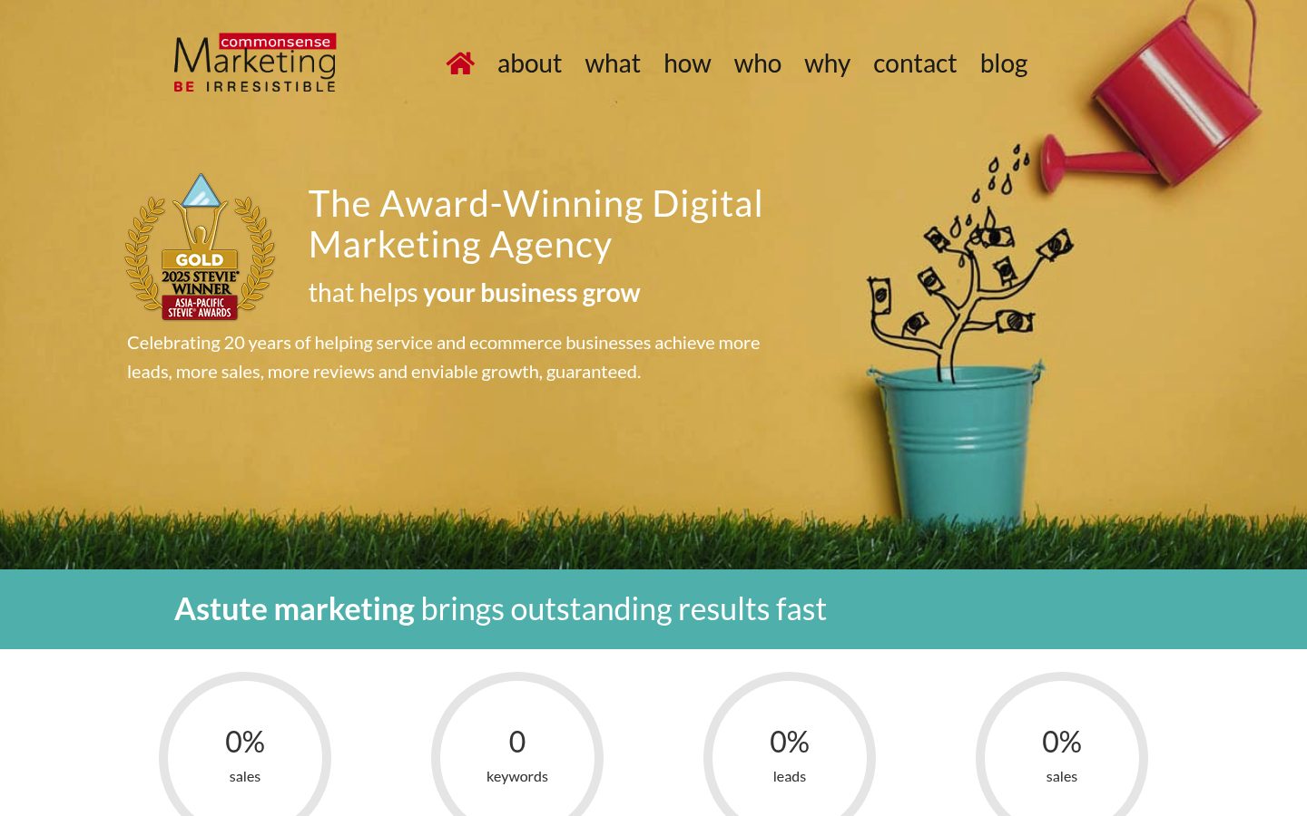 Commonsense Marketing website preview
