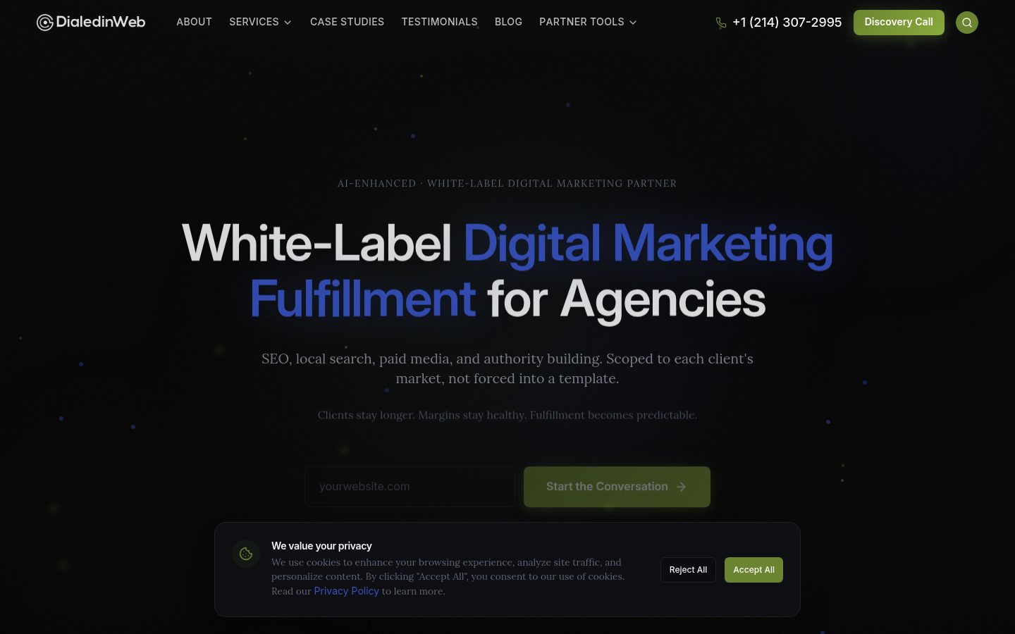 Demand Stream Digital/Dialed-In Web website preview
