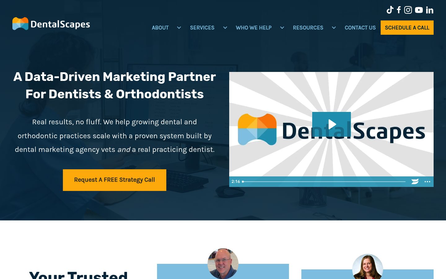 DentalScapes website preview