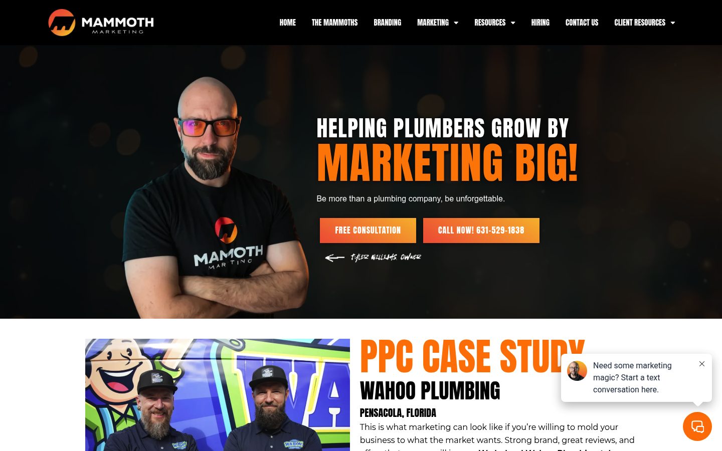 Mammoth Marketing, LLC website preview
