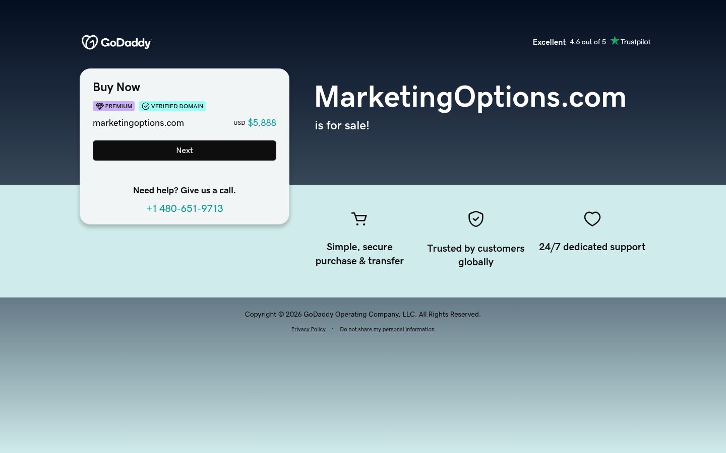 Marketing Options website preview