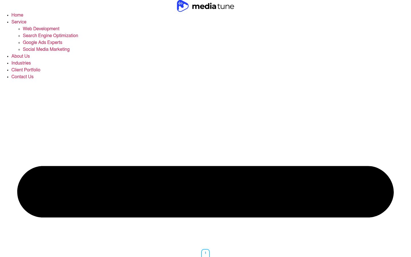Media Tune website preview