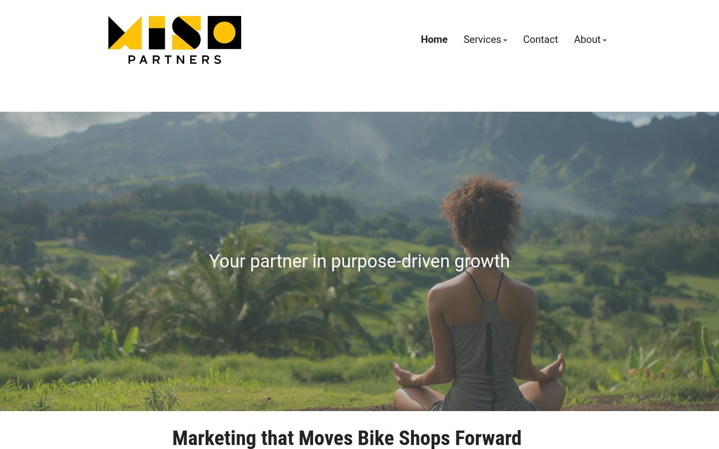 Miso Partners website preview