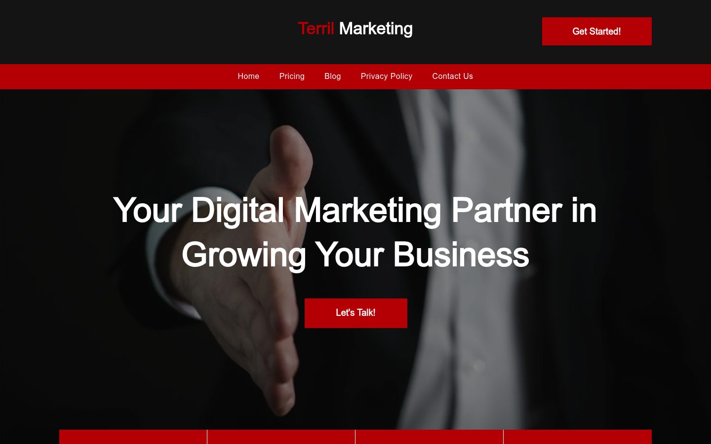 Terril Marketing website preview