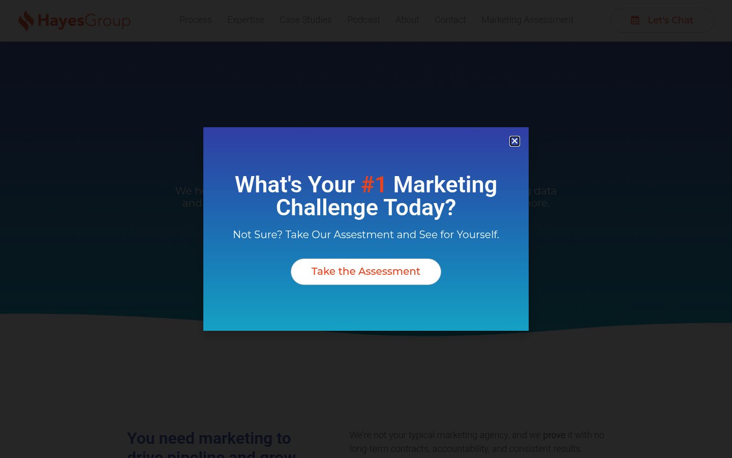 The Hayes Group website preview