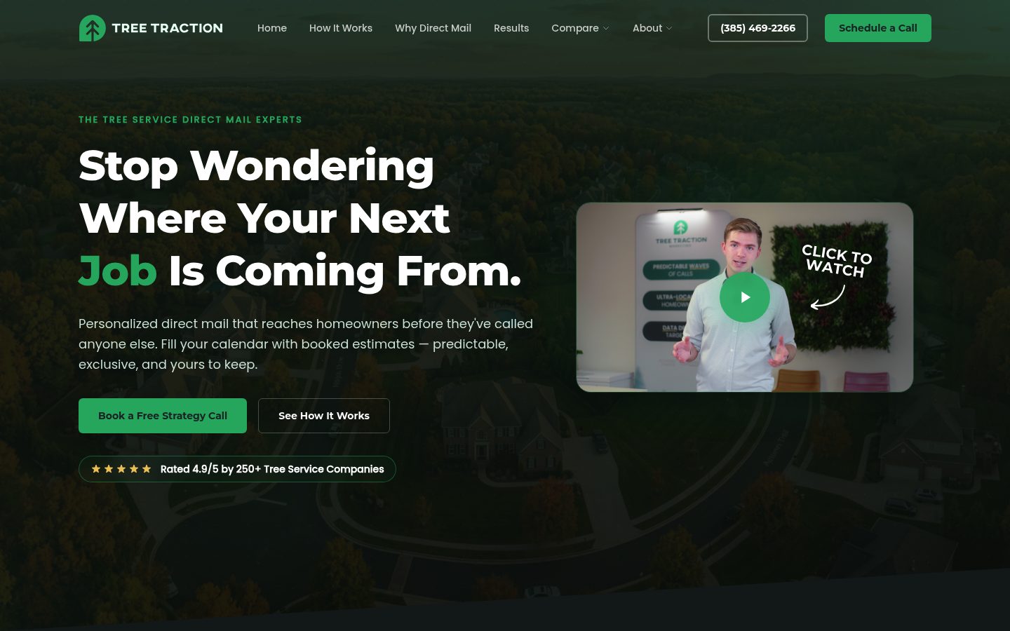 Tree Traction website preview