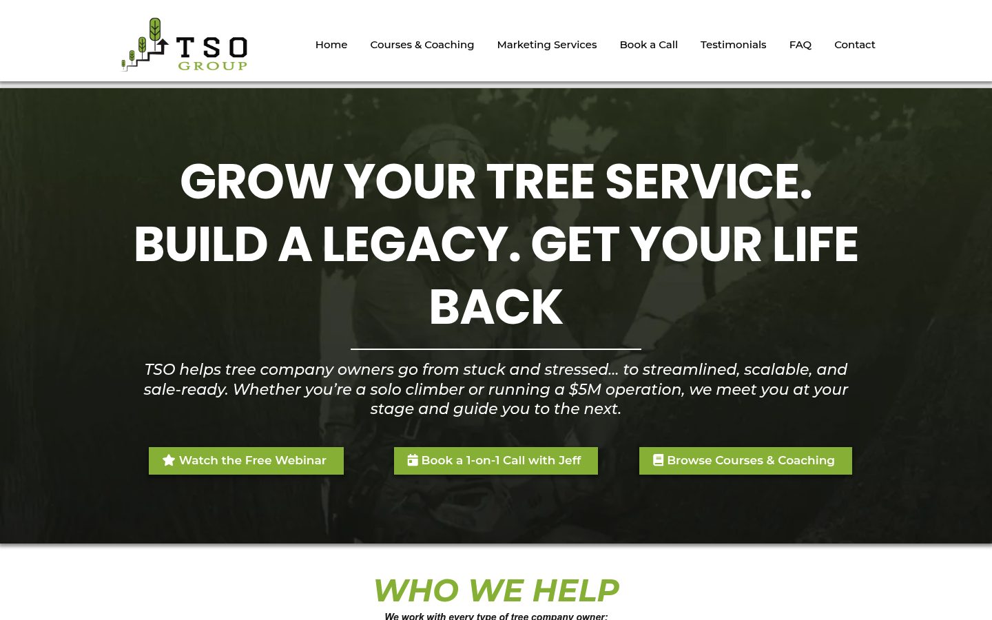 TSO Academy website preview