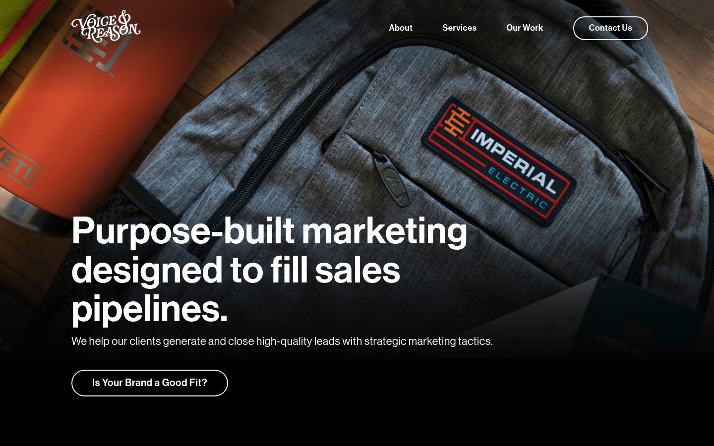Voice & Reason website preview