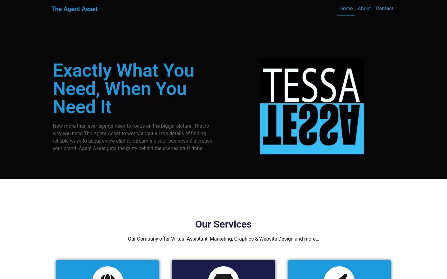 Your Agent Asset website preview